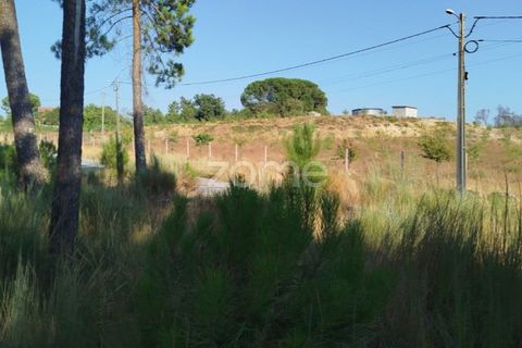 Helårsgrund i Mangualde, Viseu, Mangualde - € 33.500 | Ref: ZMPT580301 - foto 7