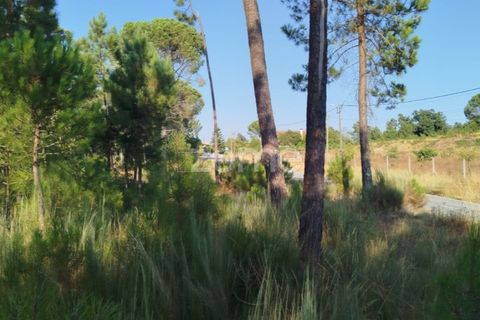 Helårsgrund i Mangualde, Viseu, Mangualde - € 33.500 | Ref: ZMPT580301 - foto 9