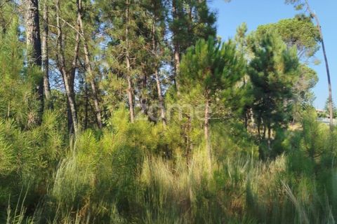 Helårsgrund i Mangualde, Viseu, Mangualde - € 33.500 | Ref: ZMPT580301 - foto 10