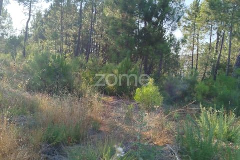 Helårsgrund i Mangualde, Viseu, Mangualde - € 33.500 | Ref: ZMPT580301 - foto 14