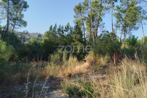 Helårsgrund i Mangualde, Viseu, Mangualde - € 33.500 | Ref: ZMPT580301 - foto 15
