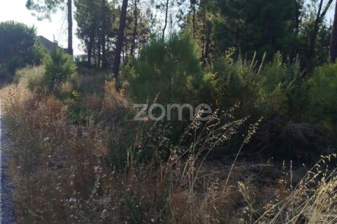 Helårsgrund i Mangualde, Viseu, Mangualde - € 33.500 | Ref: ZMPT580301 - foto 16