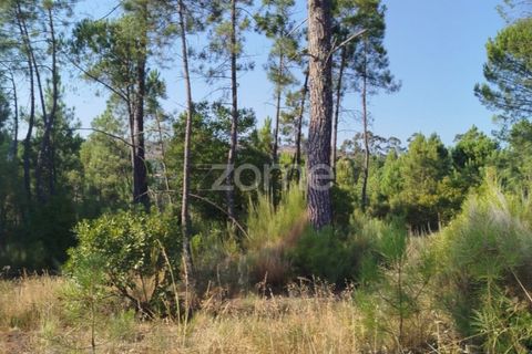 Helårsgrund i Mangualde, Viseu, Mangualde - € 33.500 | Ref: ZMPT580301 - foto 18