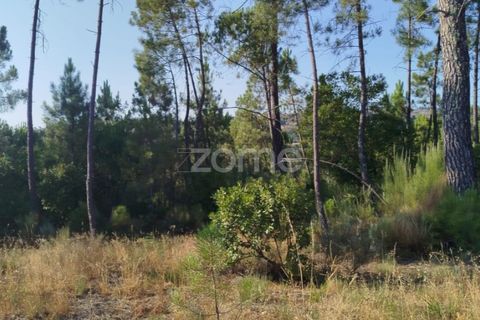 Helårsgrund i Mangualde, Viseu, Mangualde - € 33.500 | Ref: ZMPT580301 - foto 19