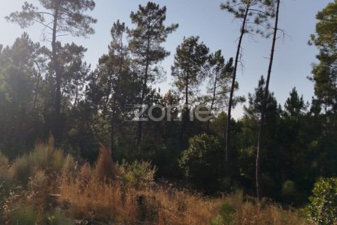 Helårsgrund i Mangualde, Viseu, Mangualde - € 33.500 | Ref: ZMPT580301 - foto 20
