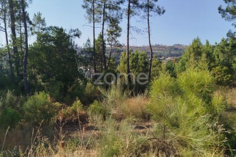 Helårsgrund i Mangualde, Viseu, Mangualde - € 33.500 | Ref: ZMPT580301 - foto 21