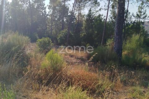 Helårsgrund i Mangualde, Viseu, Mangualde - € 33.500 | Ref: ZMPT580301 - foto 22