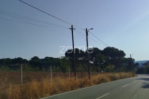 Helårsgrund i Mangualde, Viseu, Mangualde - € 33.500 | Ref: ZMPT580301 - foto 23