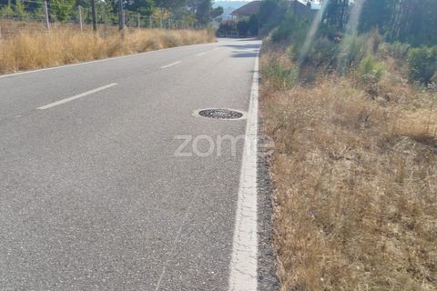 Helårsgrund i Mangualde, Viseu, Mangualde - € 33.500 | Ref: ZMPT580301 - foto 25