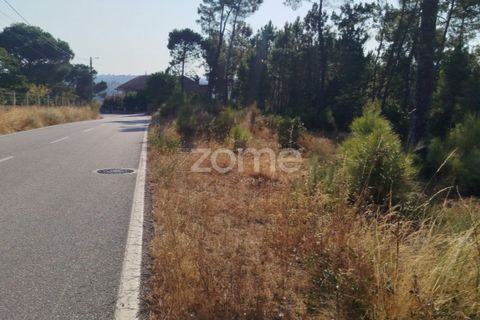 Helårsgrund i Mangualde, Viseu, Mangualde - € 33.500 | Ref: ZMPT580301 - foto 26