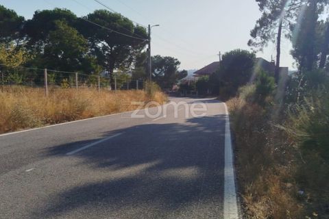 Helårsgrund i Mangualde, Viseu, Mangualde - € 33.500 | Ref: ZMPT580301 - foto 27