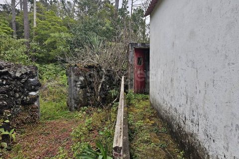 Villa i Lajes do Pico, Pico, Lajes do Pico - € 140.000 | Ref: AZ97872FR - foto 2
