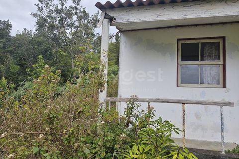 Villa i Lajes do Pico, Pico, Lajes do Pico - € 140.000 | Ref: AZ97872FR - foto 9