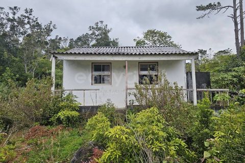 Villa i Lajes do Pico, Pico, Lajes do Pico - € 140.000 | Ref: AZ97872FR - foto 15