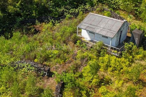 Villa i Lajes do Pico, Pico, Lajes do Pico - € 140.000 | Ref: AZ97872FR - foto 16