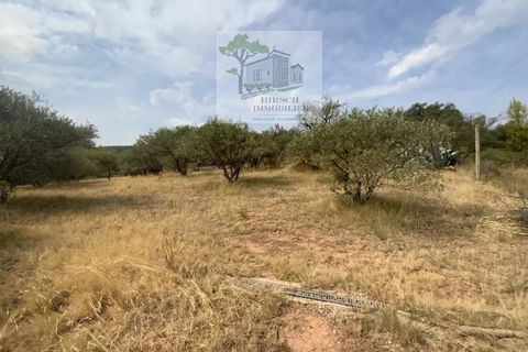 Villa i Ginestas, Aude, Ginestas - € 550.000 | Ref: 86184514 - foto 4