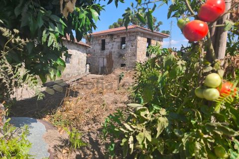 Farm i Guilhufe e urro, Porto, Guilhufe e urro - € 399.000 | Ref: FIN_289 - foto 8