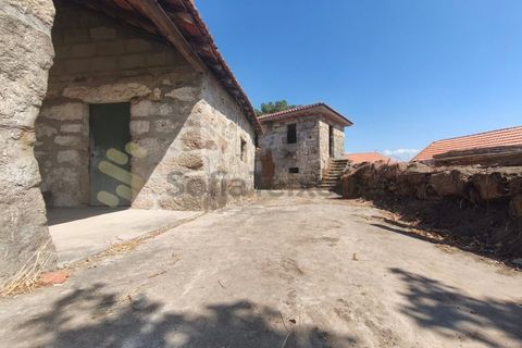 Farm i Guilhufe e urro, Porto, Guilhufe e urro - € 399.000 | Ref: FIN_289 - foto 3