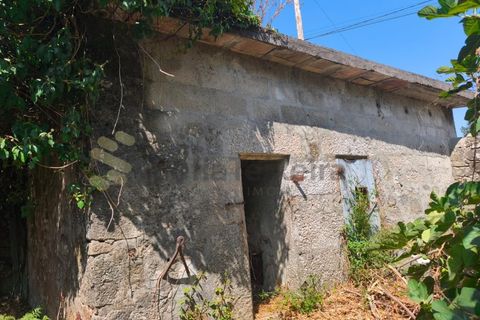 Farm i Guilhufe e urro, Porto, Guilhufe e urro - € 399.000 | Ref: FIN_289 - foto 9