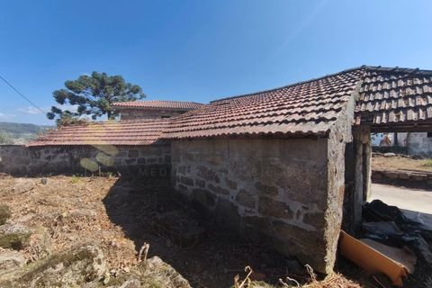 Farm i Guilhufe e urro, Porto, Guilhufe e urro - € 399.000 | Ref: FIN_289 - foto 15