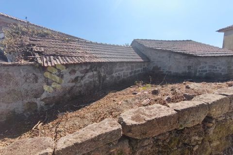 Farm i Guilhufe e urro, Porto, Guilhufe e urro - € 399.000 | Ref: FIN_289 - foto 20