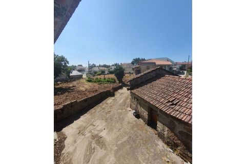 Farm i Guilhufe e urro, Porto, Guilhufe e urro - € 399.000 | Ref: FIN_289 - foto 26