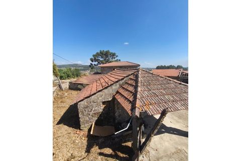 Farm i Guilhufe e urro, Porto, Guilhufe e urro - € 399.000 | Ref: FIN_289 - foto 30