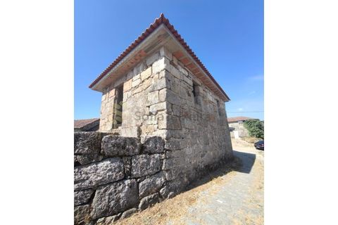 Farm i Guilhufe e urro, Porto, Guilhufe e urro - € 399.000 | Ref: FIN_289 - foto 35