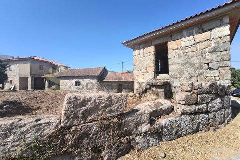 Farm i Guilhufe e urro, Porto, Guilhufe e urro - € 399.000 | Ref: FIN_289 - foto 36