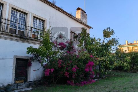 Villa a Almeirim, Santarem, Almeirim - € 616.550 | Ref: PAL4416 - foto 31