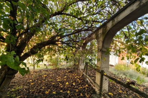 Villa a Almeirim, Santarem, Almeirim - € 616.550 | Ref: PAL4416 - foto 35