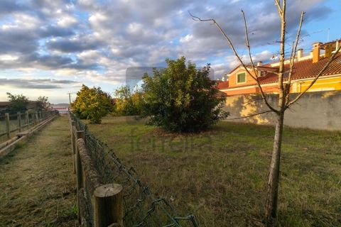 Villa a Almeirim, Santarem, Almeirim - € 616.550 | Ref: PAL4416 - foto 40