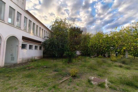 Villa a Almeirim, Santarem, Almeirim - € 616.550 | Ref: PAL4416 - foto 41