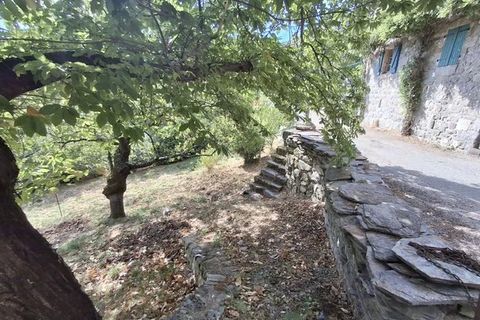 Villa i Les Vans, Ardeche, Les Vans - € 225.000 | Ref: 86189889 - foto 7