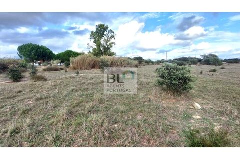 Farm i Evora, Evora, Evora - € 155.000 | Ref: MAS_742 - foto 1