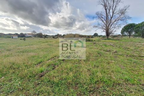Farm i Evora, Evora, Evora - € 155.000 | Ref: MAS_742 - foto 2