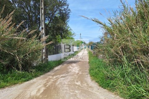 Farm i Evora, Evora, Evora - € 155.000 | Ref: MAS_742 - foto 6