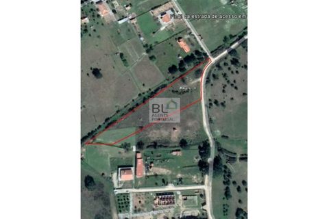 Farm i Evora, Evora, Evora - € 155.000 | Ref: MAS_742 - foto 8