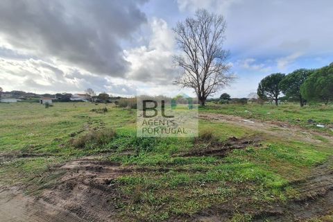 Farm i Evora, Evora, Evora - € 155.000 | Ref: MAS_742 - foto 12