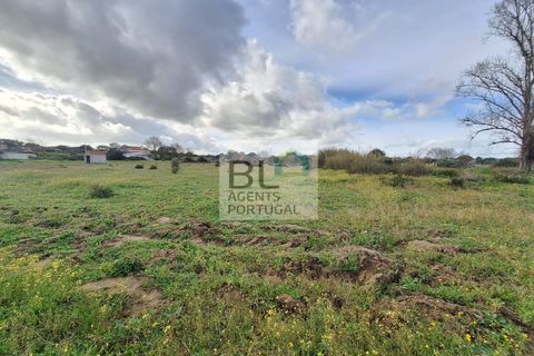 Farm i Evora, Evora, Evora - € 155.000 | Ref: MAS_742 - foto 13