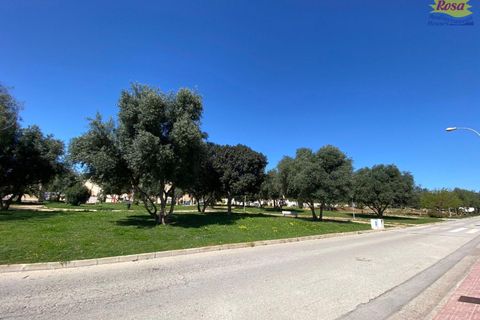 Bungalow i Orihuela, Alicante, Orihuela - € 159.000 | Ref: B-3415 - foto 28