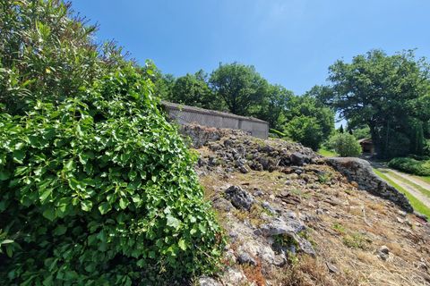Terra a Monsegur, Lot-et-Garonne, Monsegur - € 80.000 | Ref: BVI77037 - foto 4