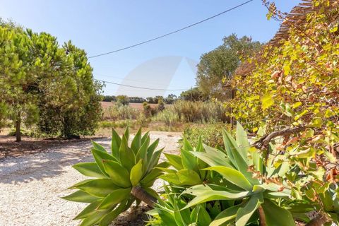 Villa a Odemira, Beja, Odemira - € 600.000 | Ref: Qt-828 - foto 4