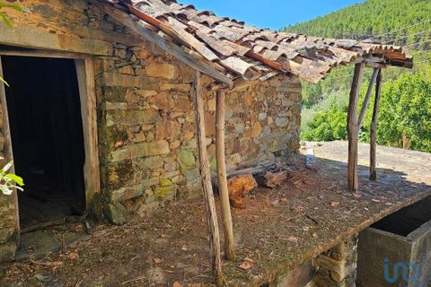 Byhus i Proenca-a-Nova, Castelo Branco, Proenca-a-Nova - € 40.000 | Ref: 148374 - foto 3
