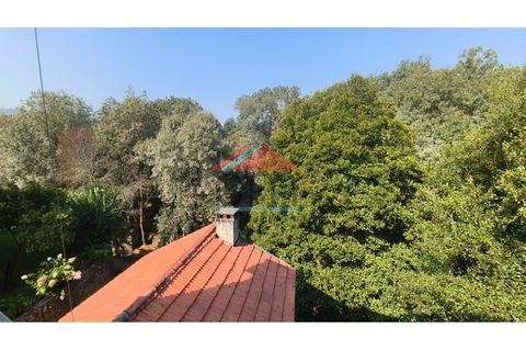 Villa i Ceivaes e Badim, Viana do Castelo, Ceivaes e Badim - € 162.000 | Ref: M575 - foto 17