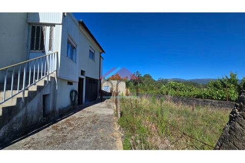 Villa a Viana do Castelo, Viana do Castelo, Viana do Castelo - € 125.000 | Ref: M559 - foto 9
