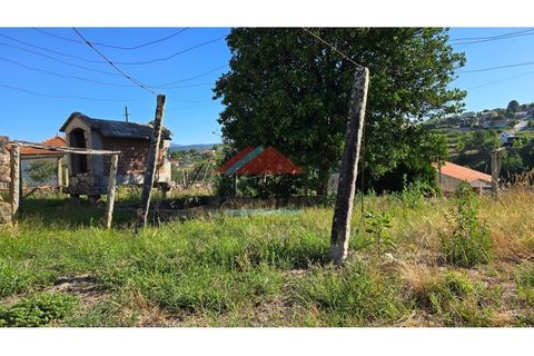 Villa a Viana do Castelo, Viana do Castelo, Viana do Castelo - € 125.000 | Ref: M559 - foto 16