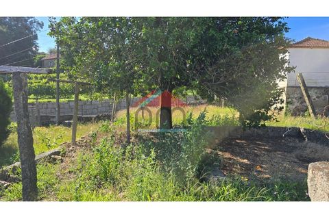 Villa a Viana do Castelo, Viana do Castelo, Viana do Castelo - € 125.000 | Ref: M559 - foto 18