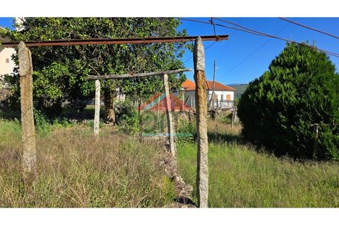 Villa a Viana do Castelo, Viana do Castelo, Viana do Castelo - € 125.000 | Ref: M559 - foto 19