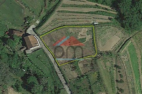 Villa a Viana do Castelo, Viana do Castelo, Viana do Castelo - € 125.000 | Ref: M559 - foto 21